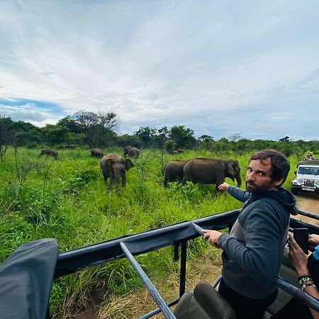 Minneriya Jeep Safari Habarana Exteriér fotografie