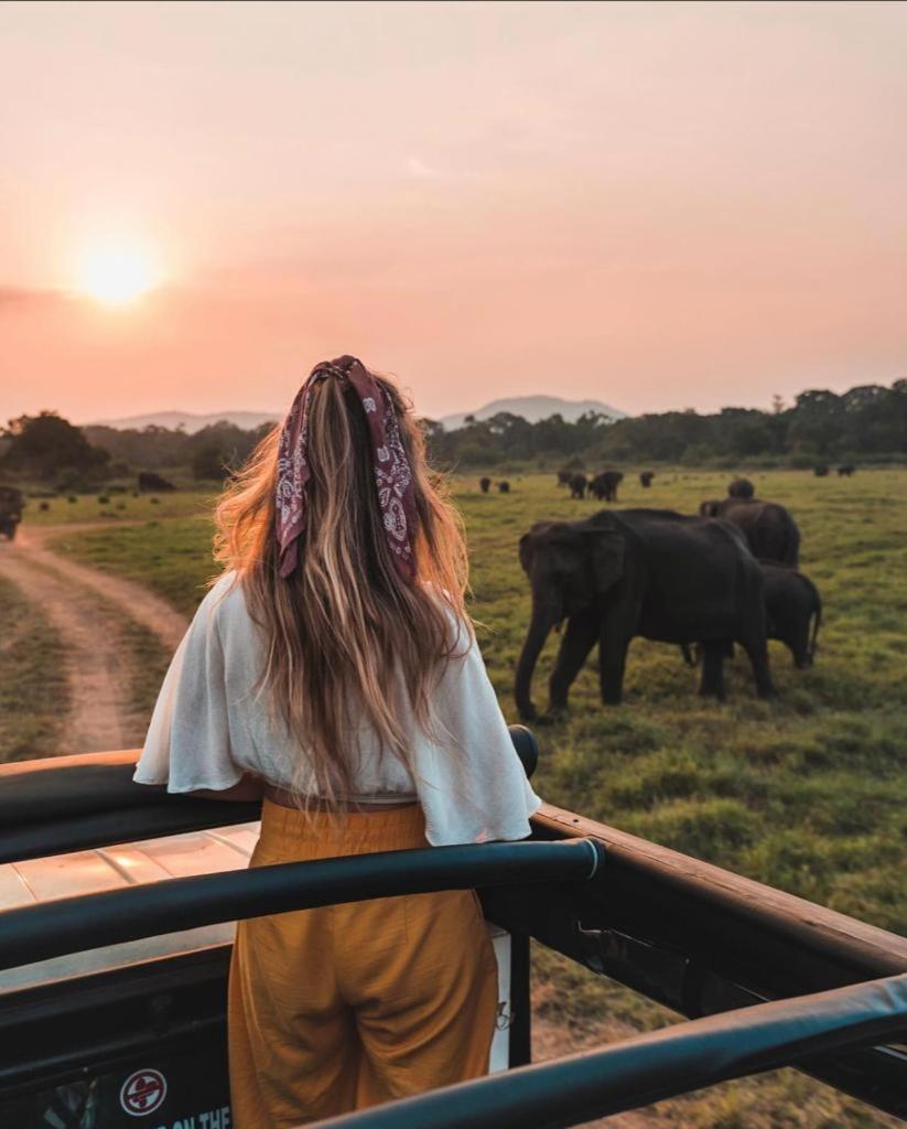 Minneriya Jeep Safari Habarana Exteriér fotografie