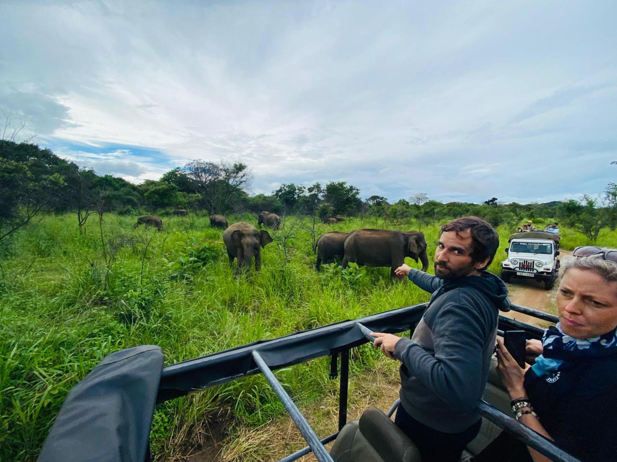 Minneriya Jeep Safari Habarana Exteriér fotografie